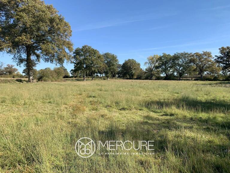 Domaine agricole de 145 hectares avec projet photovoltaïque auto — photo 1