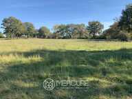 Domaine agricole de 145 hectares avec projet photovoltaïque auto — photo 2