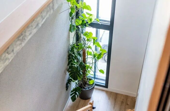 MAISON D'ARCHITECTE RÉNOVÉE DE 230 M² AVEC APPARTEMENT INDEPENDA — photo 4