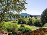 Vaison-la-Romaine – Ferme en pierre avec jardin arboré et terrai — photo 4