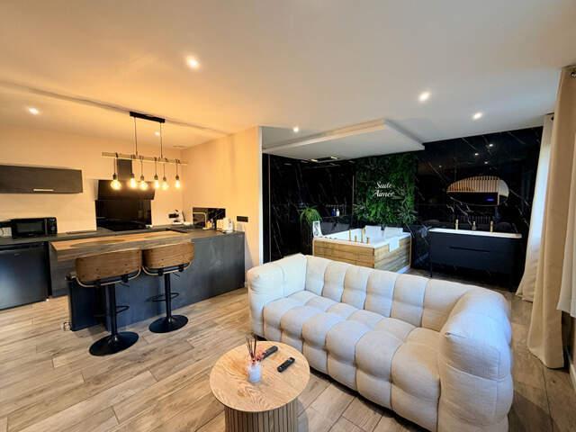 Appartement type loft Angoulême — photo du bien