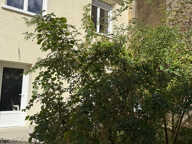 LA PEPITE URBAINE - POITIERS PLATEAU — photo 3