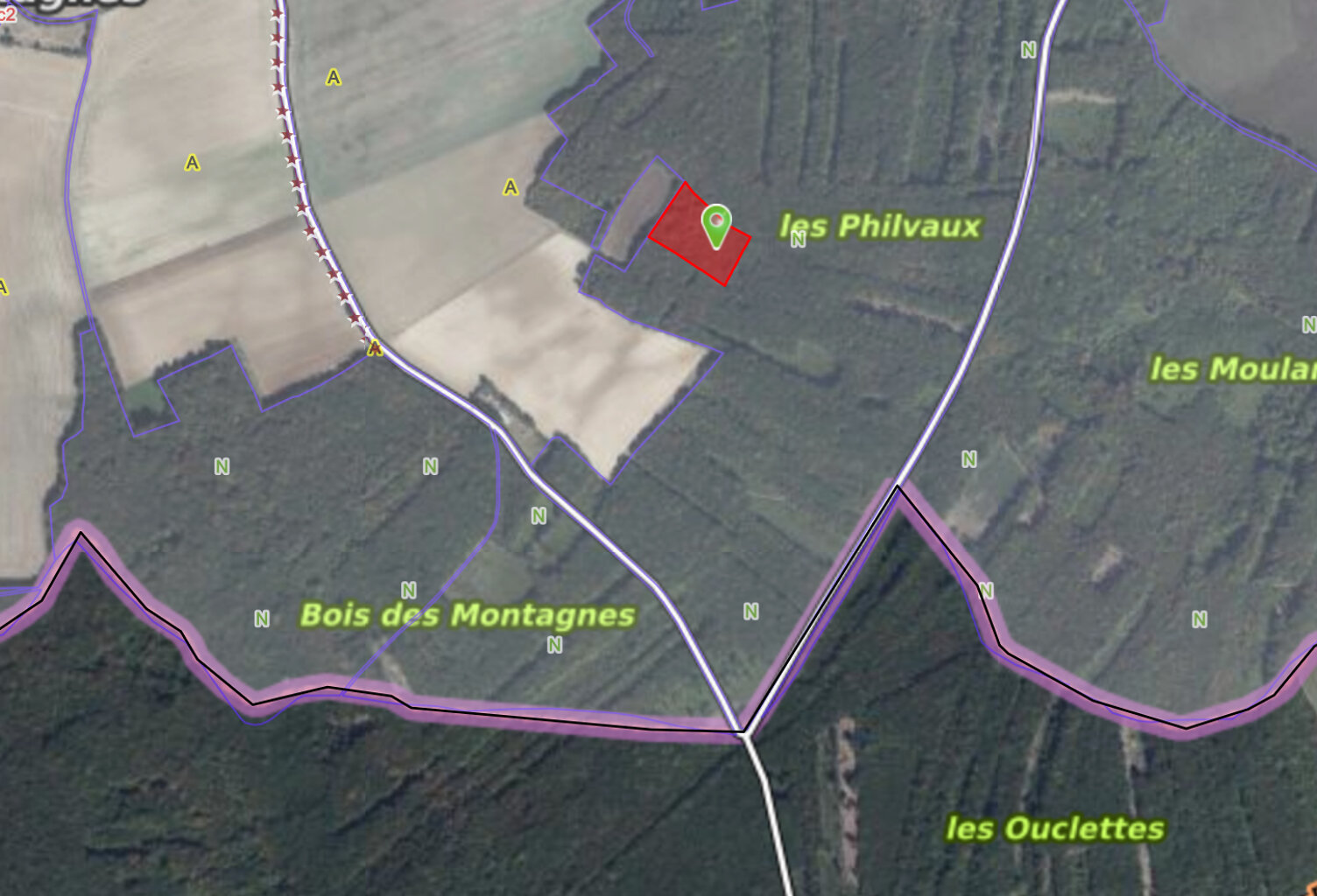 Parcelles de bois à Bouhy 11129 m2 — photo 1