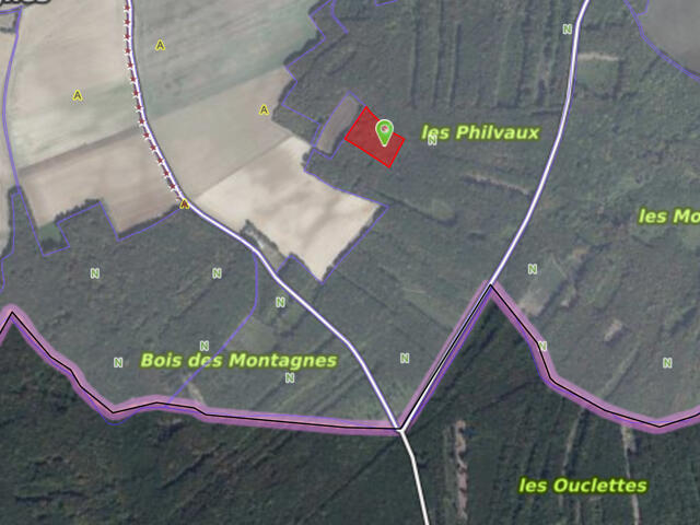 Parcelles de bois à Bouhy 11129 m2