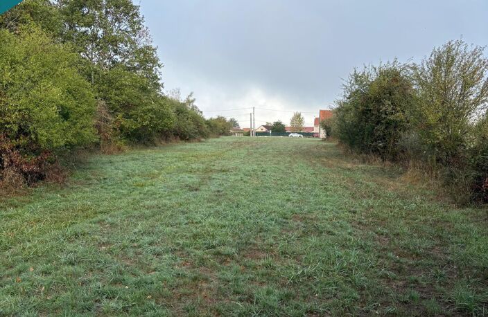 Terrain de 3000 m2 — photo 2
