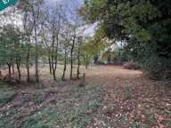 Terrain de 3000 m2 — photo 4