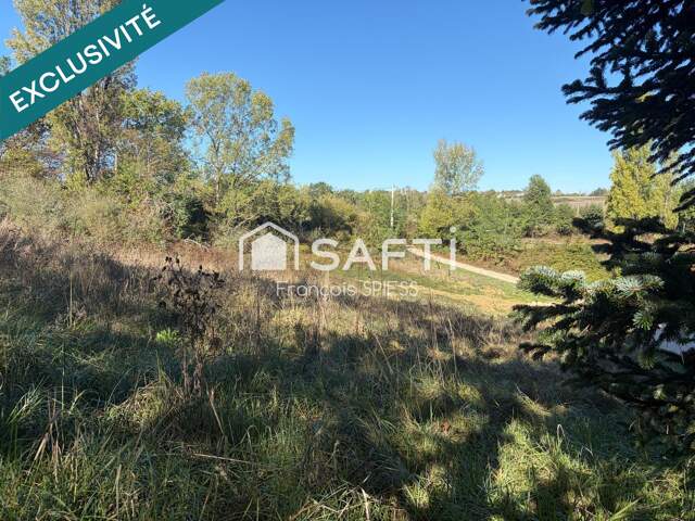 Terrain constructible et préservé à Pompignac — photo du bien