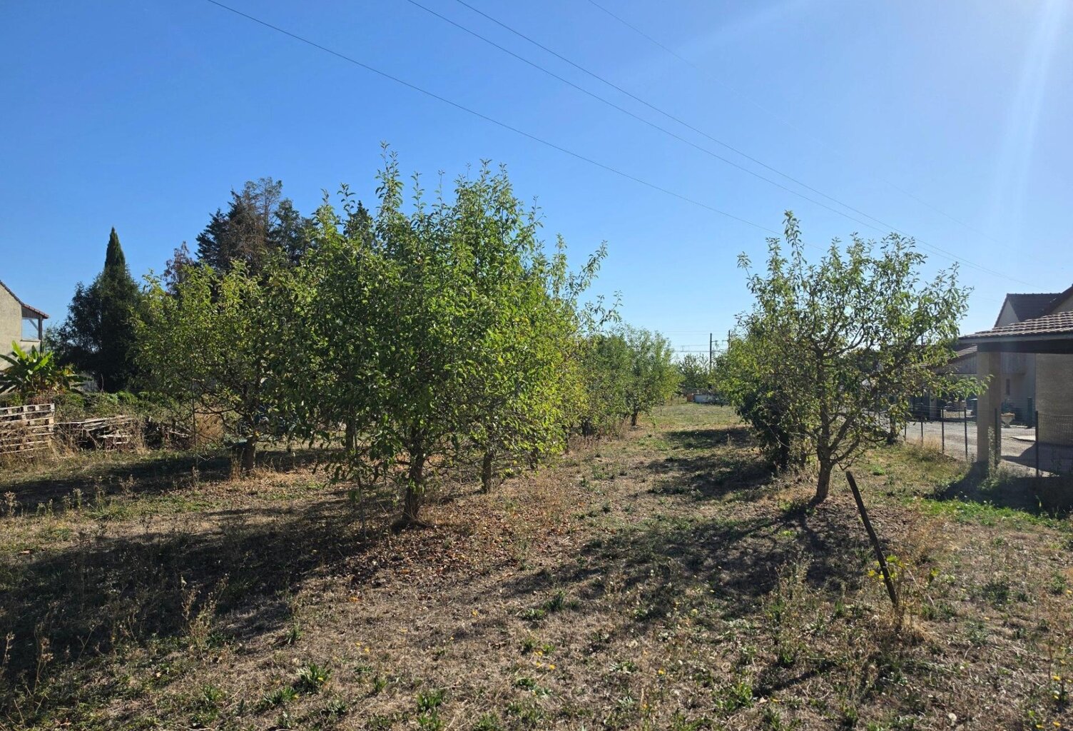Terrain constructible arboré de 2 248 m² — photo 1