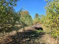Terrain constructible arboré de 2 248 m² — photo 2