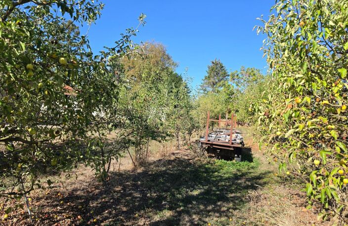 Terrain constructible arboré de 2 248 m² — photo 2