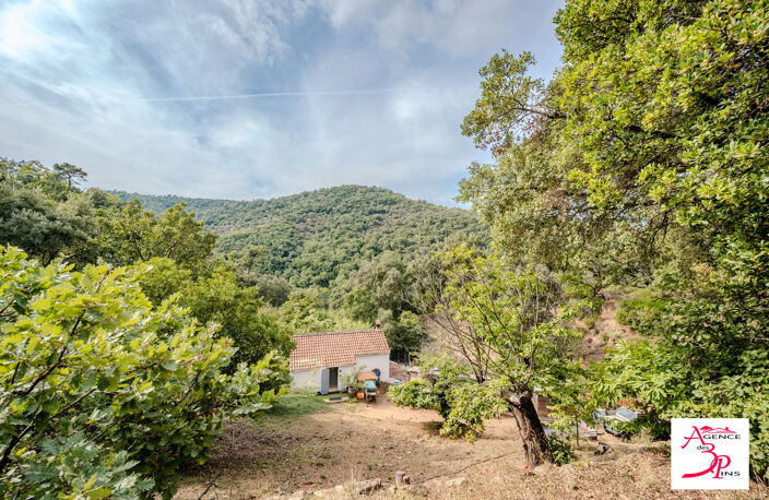EXCLUSIVITÉ - COLLOBRIÈRES  MAISON AUTONOME DE 60 M² SUR PLUS D — photo 4