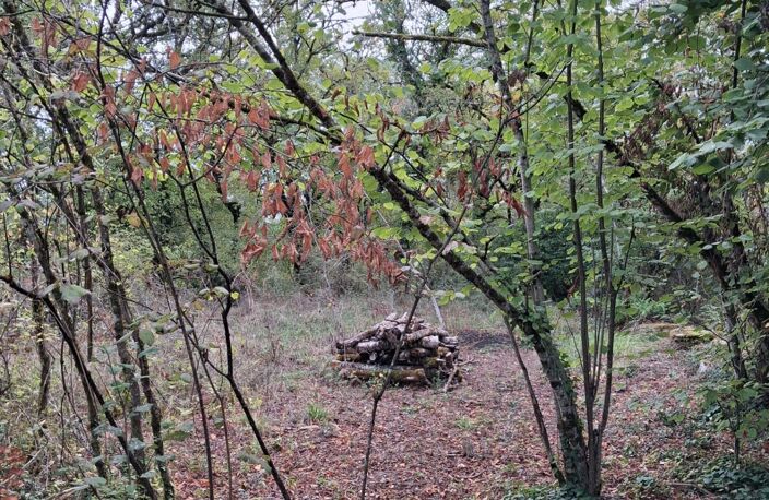 Vente Terrain à bâtir 3 418 m&sup2; — photo 3