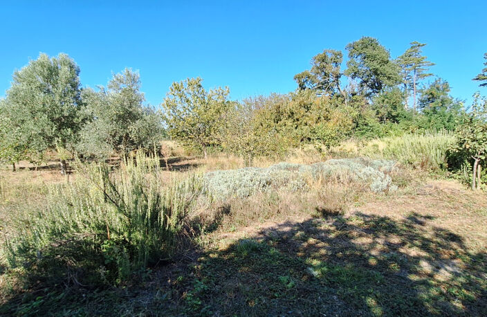 Sorgues - MAS 7 pièces 274 m² + ANNEXES 500 m²  sur 4082 m² de terrain — photo 2