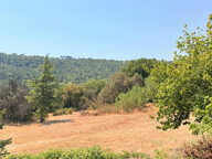 Maison de village a rénover avec terrain — photo 4