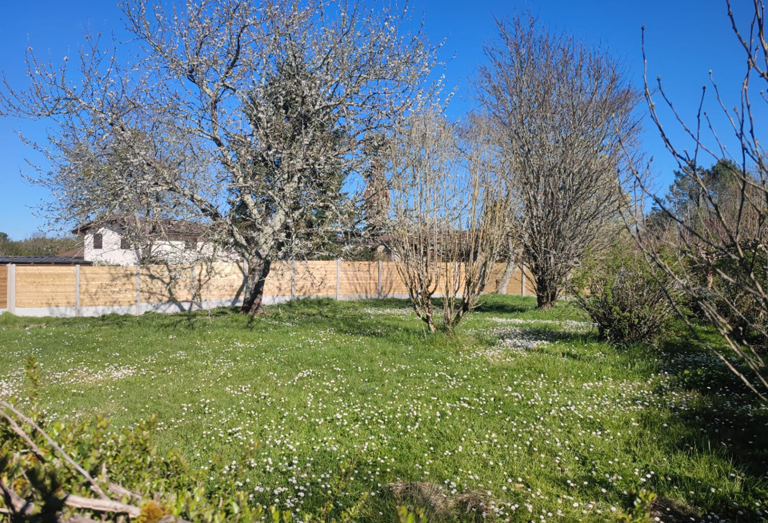 Terrain à bâtir à Créon (33670) — photo 1
