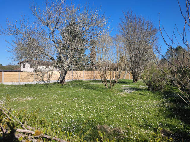 Terrain à bâtir à Créon (33670) — photo du bien
