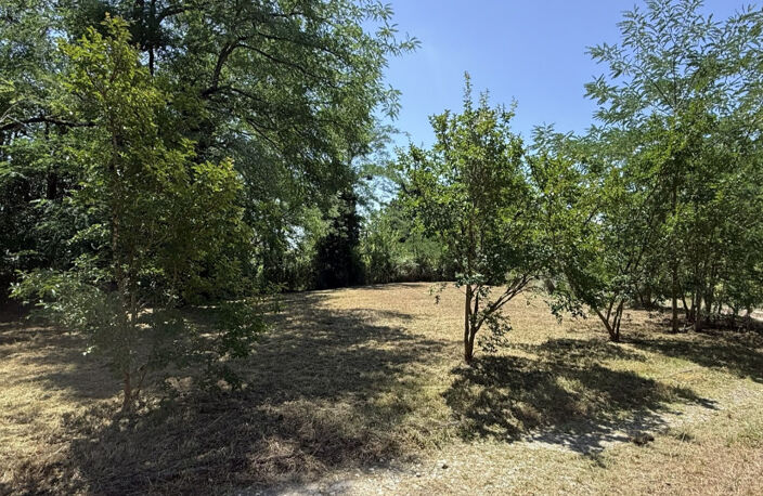 Maison à construire à Langoiran (33550) — photo 5