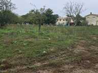 Maison à construire à La Lande-de-Fronsac (33240) — photo 3