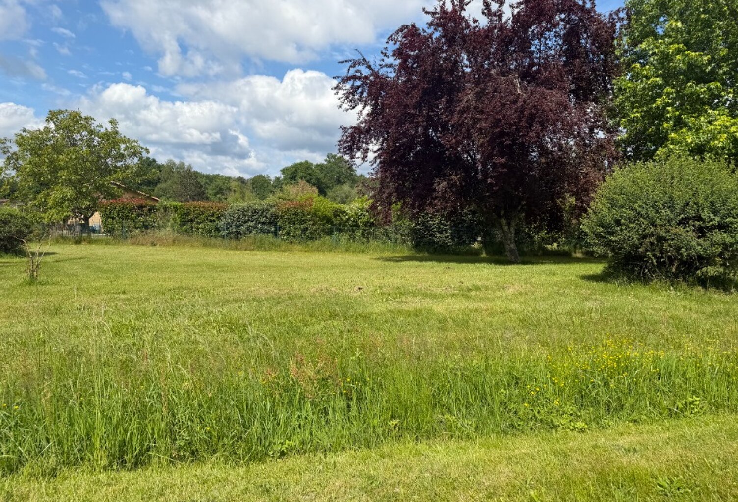 Terrain à bâtir à Lignan-de-Bazas (33430) — photo 1