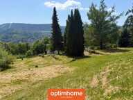 MAISON FAMILIALE À VENDRE À GÉRARDMER – VUE MONTAGNE, VUE SUR LES PISTES DE SKI ET 9 117 M² DE TERRAIN — photo 4