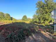 🏡 TERRAIN CONSTRUCTIBLE – 1 265 m² – SAINT-PRIEST-TAURION — photo 2
