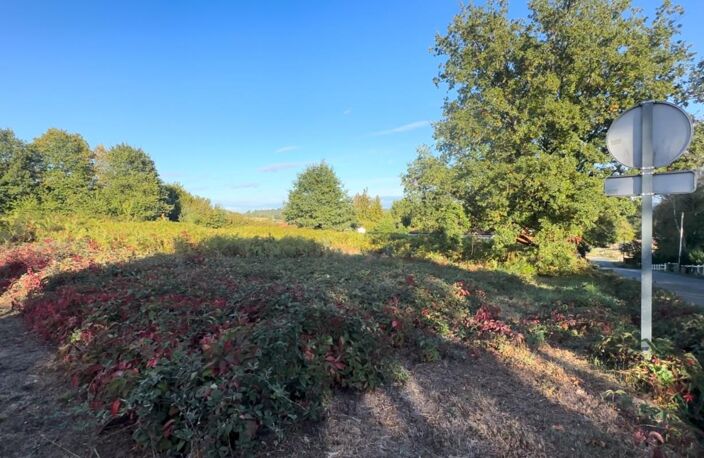 🏡 TERRAIN CONSTRUCTIBLE – 1 265 m² – SAINT-PRIEST-TAURION — photo 2