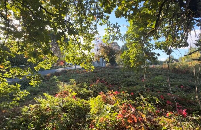 🏡 TERRAIN CONSTRUCTIBLE – 1 265 m² – SAINT-PRIEST-TAURION — photo 3