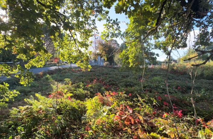 🏡 TERRAIN CONSTRUCTIBLE – 1 265 m² – SAINT-PRIEST-TAURION — photo 5