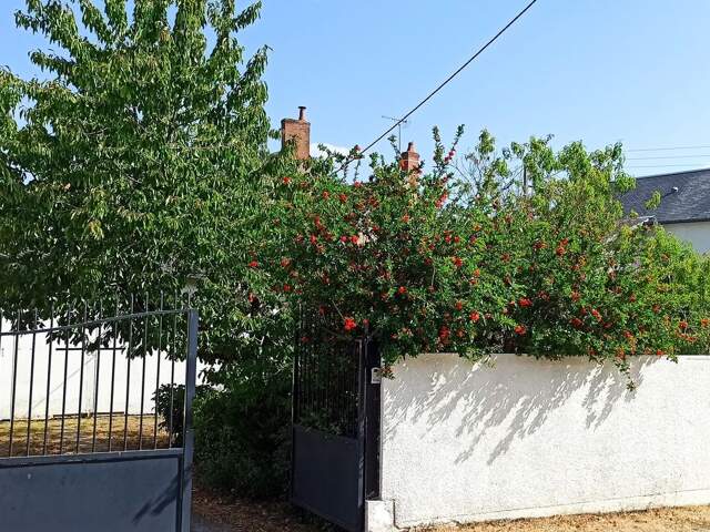 MAISON 91M2 — photo du bien