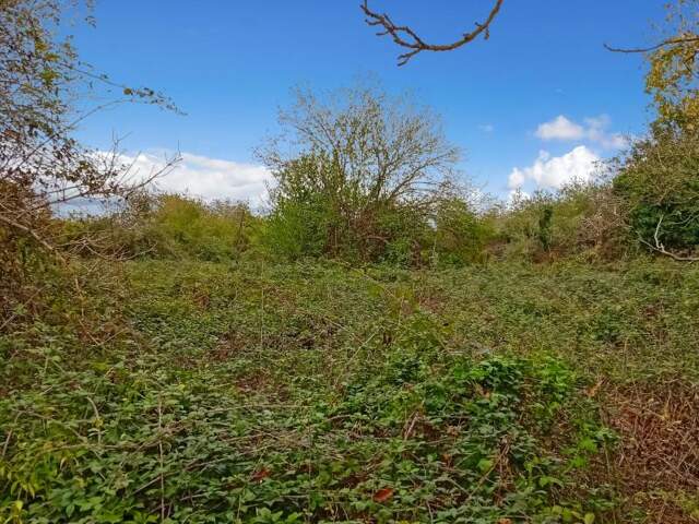 Terrain À Vendre — photo du bien