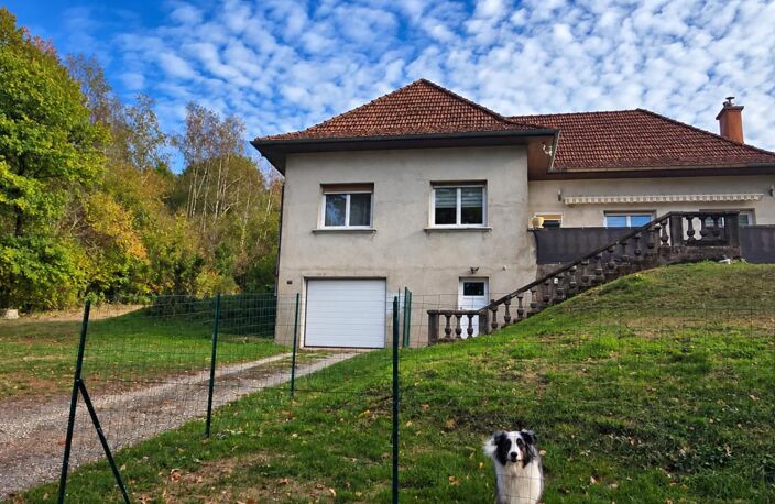 Champagney  - Maison familiale de 146 m² avec 3 hectares de terrain, bois et hangar — photo 3