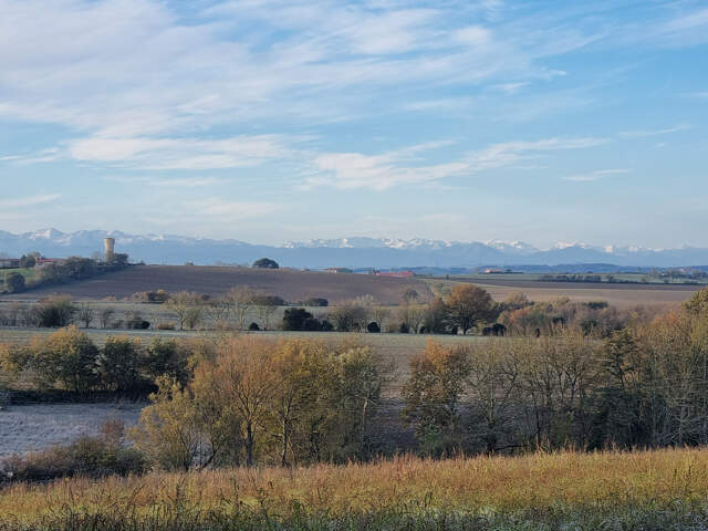 TERRAIN ESPANES — photo du bien
