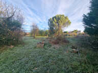 TERRAIN ESPANES — photo 3
