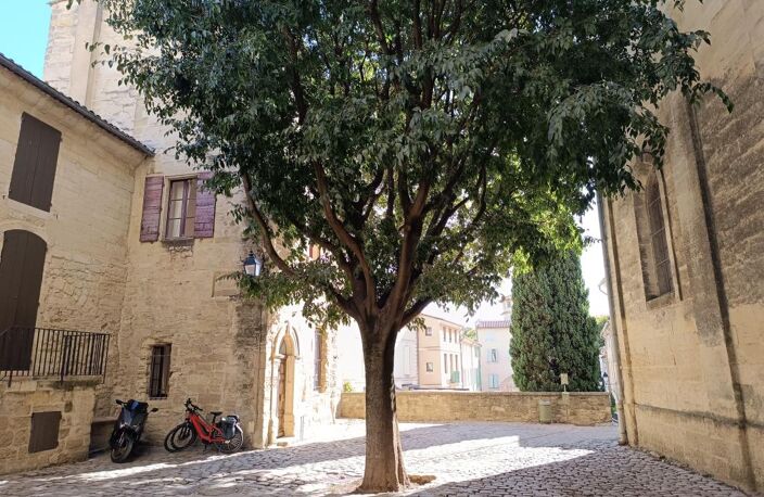 Uzès Centre Historique – Charmant studio rénové dans immeuble Renaissance — photo 2