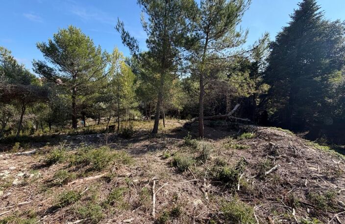 Terrain À Vendre — photo 2