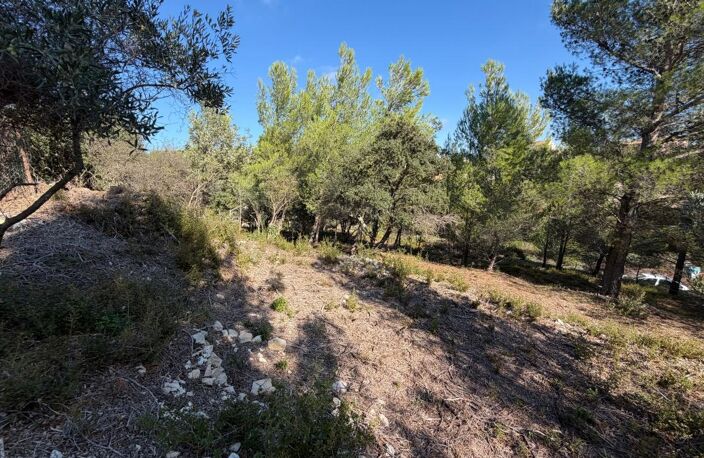 Terrain À Vendre — photo 3