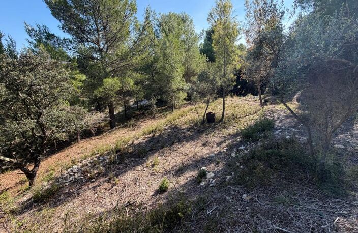 Terrain À Vendre — photo 4