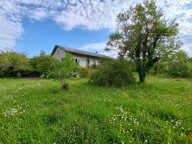 Belle maison familiale de 167 m² hab. avec grand jardin arboré à Cruzy-le-Châtel — photo 2