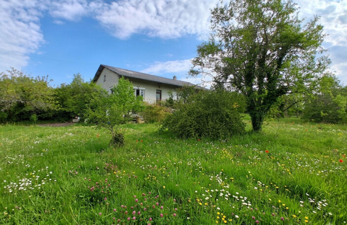 Belle maison familiale de 167 m² hab. avec grand jardin arboré à Cruzy-le-Châtel — photo 2
