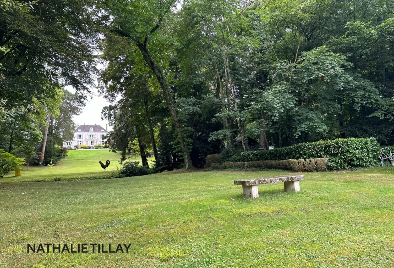 Propriété, OLIVET avendre, bord du Loiret, parc, piscine a debordement, garage a bateau — photo 1