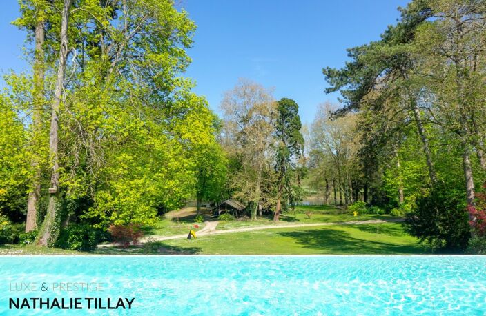 Propriété, OLIVET avendre, bord du Loiret, parc, piscine a debordement, garage a bateau — photo 4