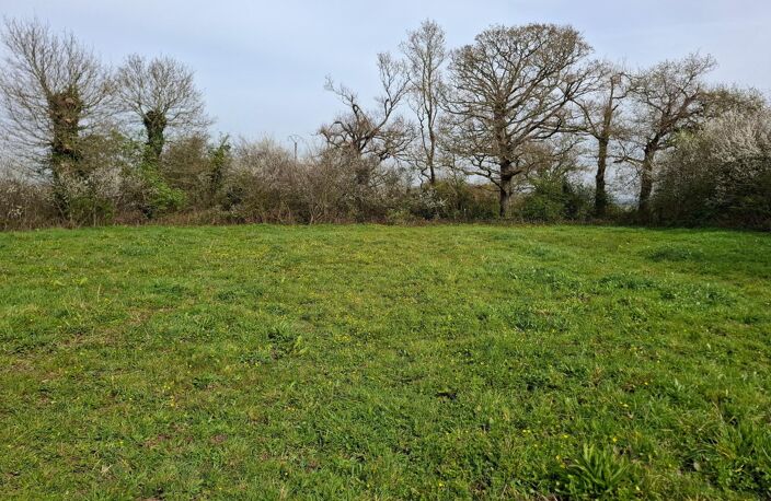 GRAND TERRAIN CONSTRUCTIBLE - RARE SUR LE SECTEUR — photo 3