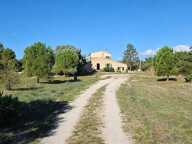 Maison traditionnelle sur 9560m2 de terrain — photo 4