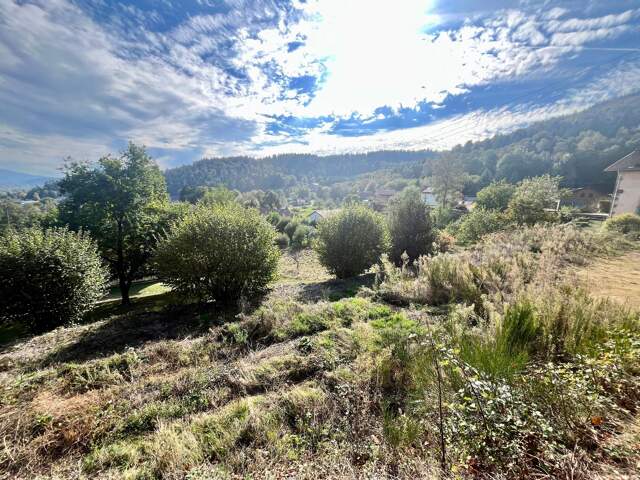 Un écrin de verdure avec vue dégagée — photo du bien