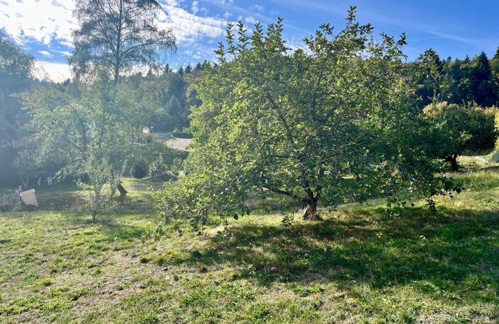 Un écrin de verdure avec vue dégagée — photo 2