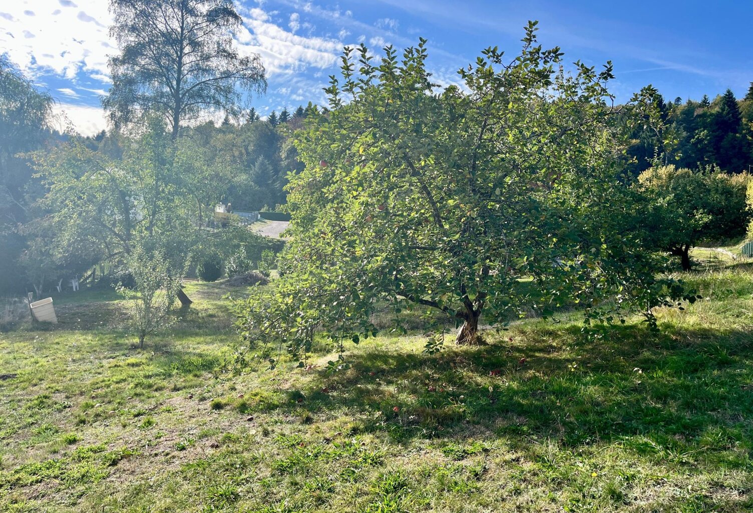 Un terrain exceptionnel au cœur de Saint-Nabord — photo 1