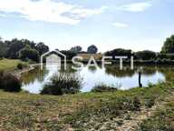 Rare sur le marché, 10 hectares, logements, étang. — photo 3