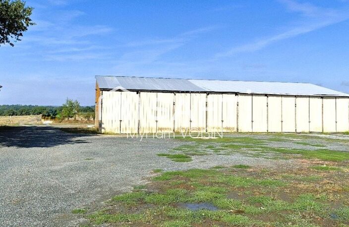 Rare sur le marché, 10 hectares, logements, étang. — photo 4