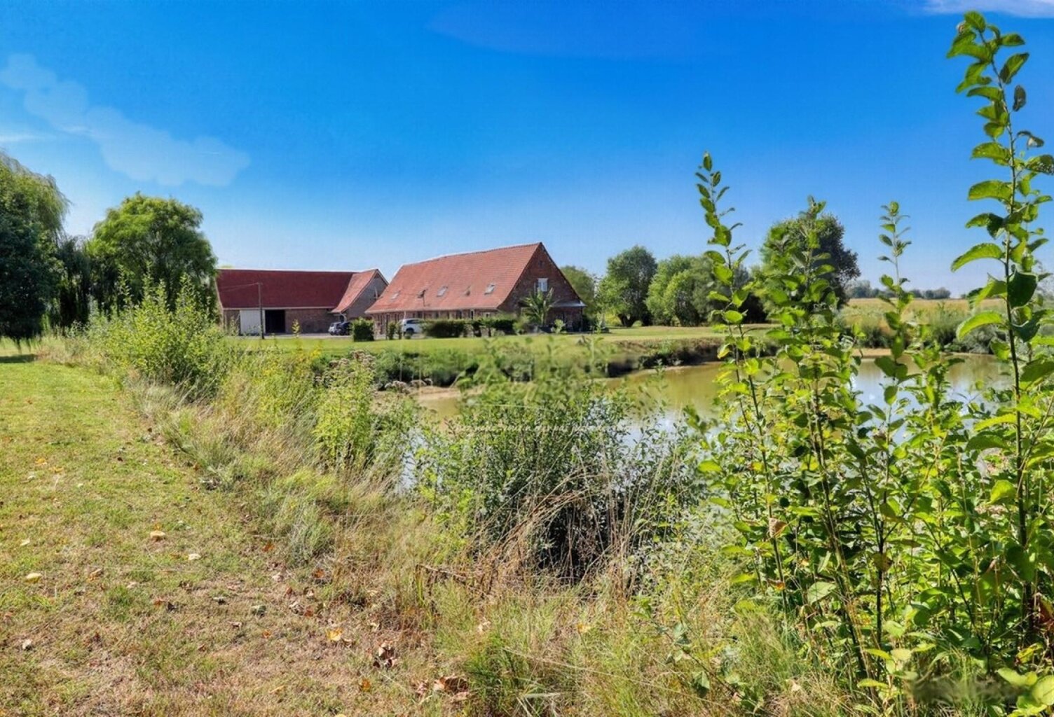 DOMAINE 1 HA, DEUX MAISONS (310 m²), HANGAR 300 m² — photo 1