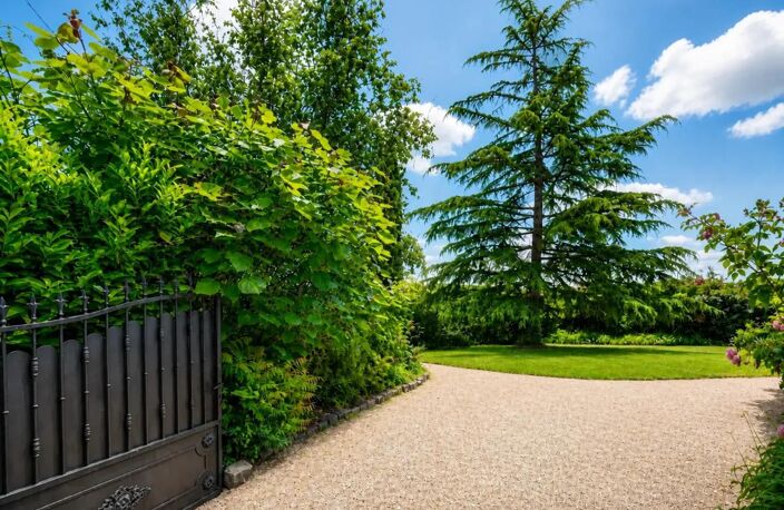 Maison de 8 pièces de 236 m² à Frontonas — photo 4